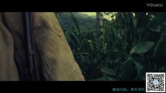 迷失在线观看  第3张